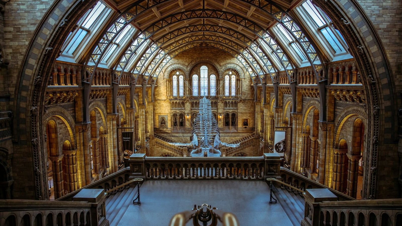 3-Day Harry Potter London Tour with Warner Bros. Studio Tour, Hotel & Transport